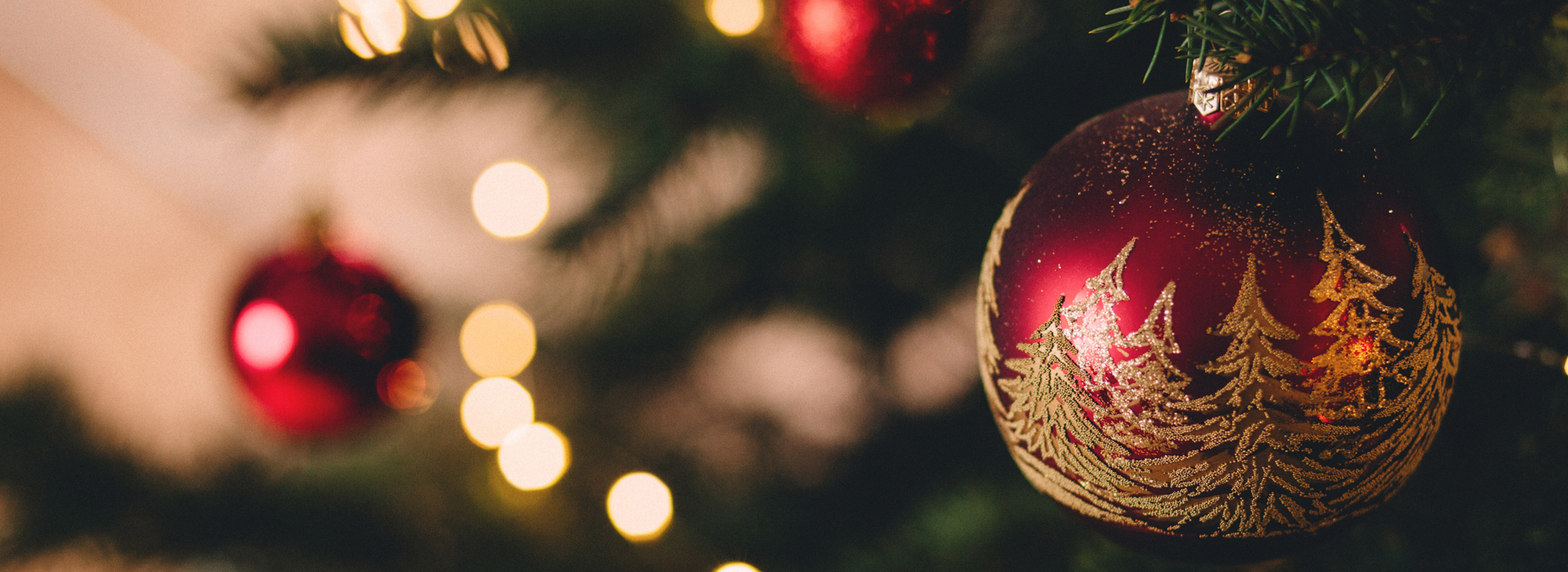 Christmas Residential Land Estate Armidale